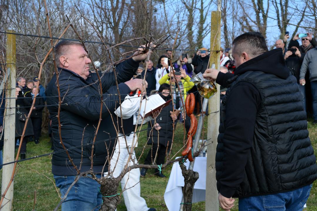 Dođite na Vincekovo u Gornju Stubicu!